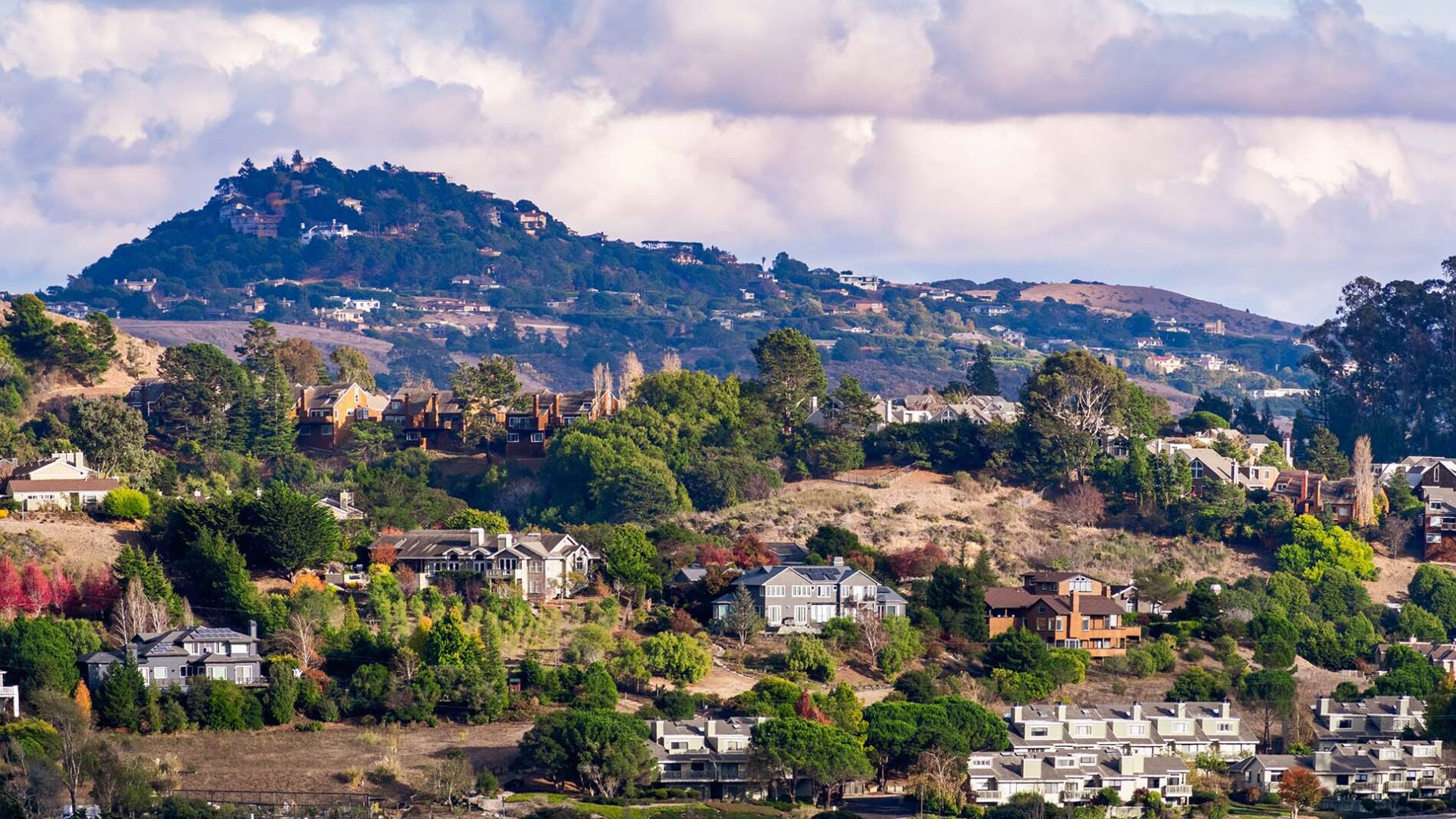 Mill Valley CA